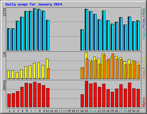Daily usage for January 2024