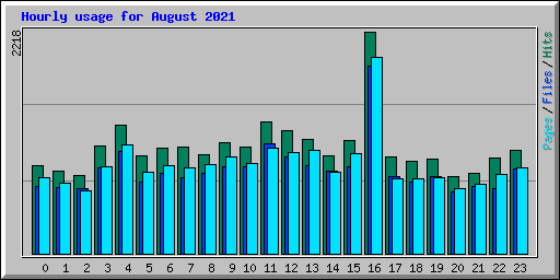 Hourly usage for August 2021