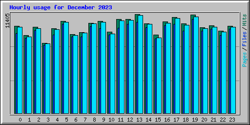 Hourly usage for December 2023
