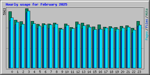 Hourly usage for February 2025