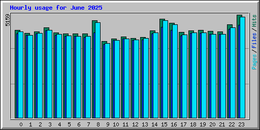 Hourly usage for June 2025