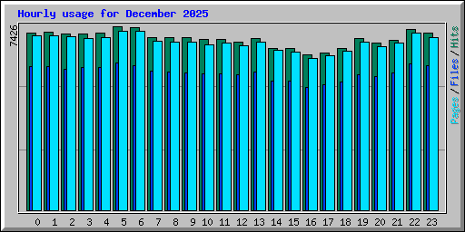 Hourly usage for December 2025