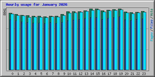 Hourly usage for January 2026