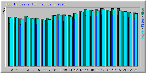 Hourly usage for February 2026